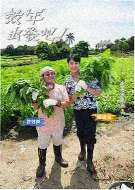 酷牛影院美食综艺深夜食堂笔记活页卡片封面